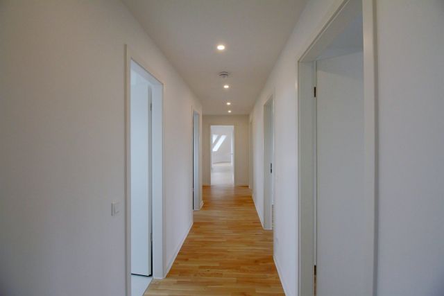 Bauüberwachung, Halle / Lettin