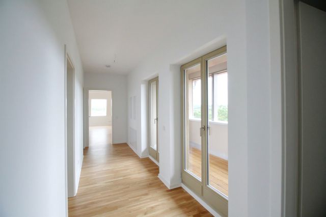 Bauüberwachung, Halle / Lettin